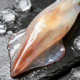 Frozen Whole Raw Squid