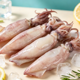 Frozen Raw Whole Squid