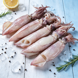 Frozen Raw Whole Squid